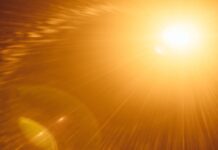 Amazon Leo satellites exceed brightness standards, study finds Amazon Leo